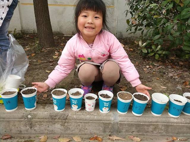 豆宝宝的旅行教案ppt_豆宝宝旅行记绘本视频_豆宝宝的旅行