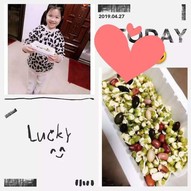 豆宝宝的旅行_豆宝宝的旅行教案ppt_豆宝宝旅行记绘本视频