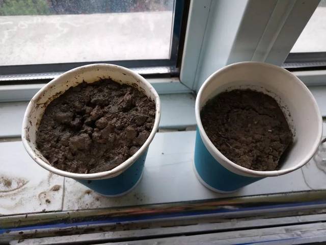 豆宝宝的旅行_豆宝宝的旅行教案ppt_豆宝宝旅行记绘本视频