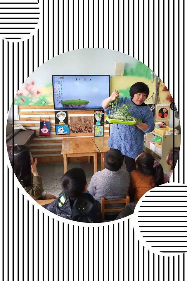 豆宝宝的旅行教案ppt_豆宝宝旅行记绘本视频_豆宝宝的旅行