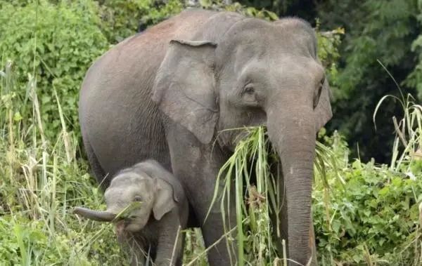 郑州晚报地铁报 生活 应用 app_郑州地铁播报语音内容_郑州地铁报站原文