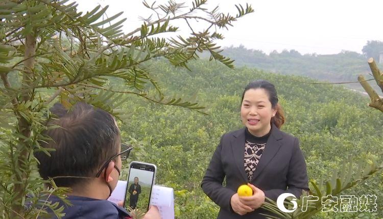 网络短视频卖货　解柠檬销售难题