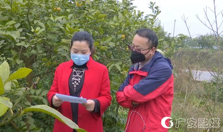 贝壳网直播_贝壳直播平台_贝壳直播吧