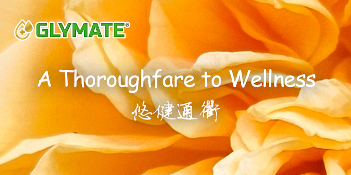 新闻游戏百科_杀人游戏 新闻_新闻的游戏叫什么