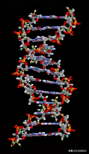 达尔文物种起源进化论 __遗传算法应用生活实例