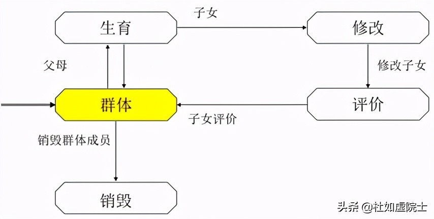 达尔文物种起源进化论 _遗传算法应用生活实例_