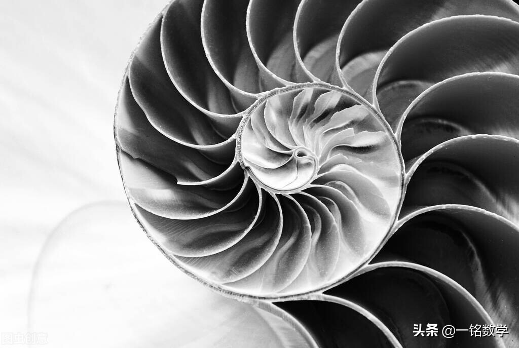 斐波那契数列生活应用_莱昂纳多·斐波那契 斐波那契数列定义者 斐波那契数列在自然界中的应用