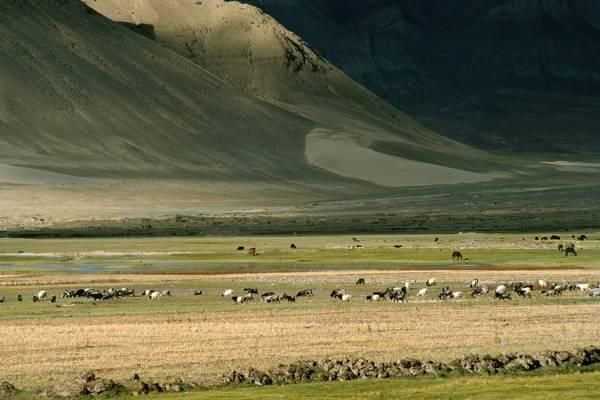 pg下载网站麻将胡了 网络游戏的发展与科普：你应该知道的那些事