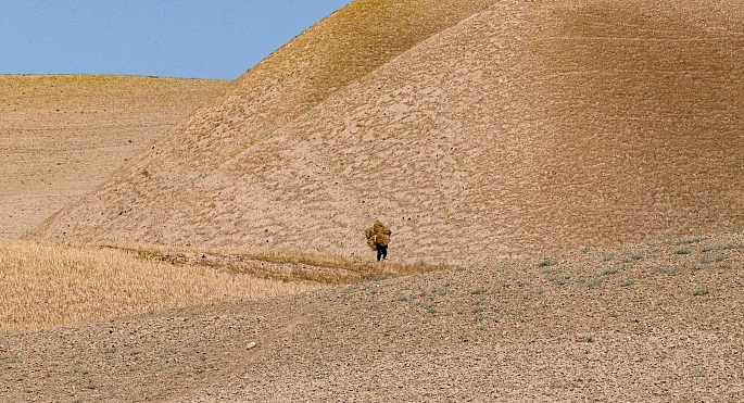 郑州地铁播报语音内容_郑州晚报地铁报 生活 应用 app_郑州地铁播报台词