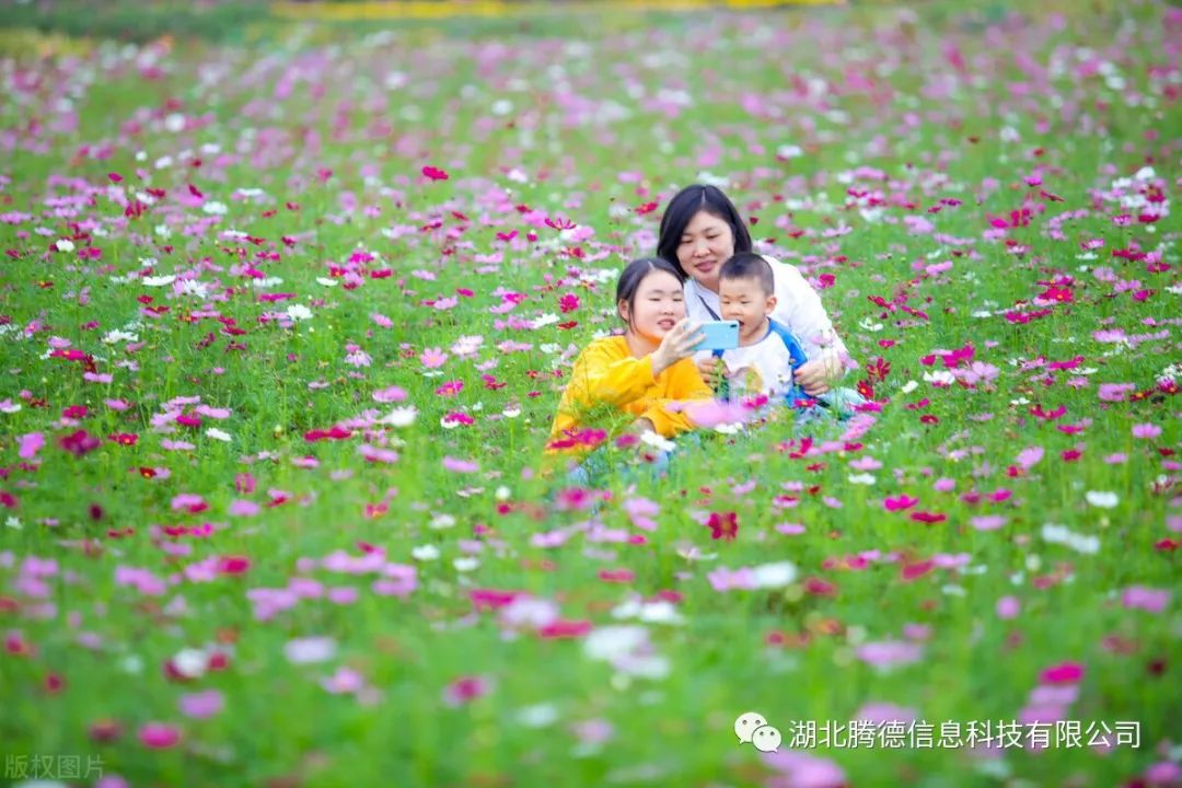 新闻礼包腾讯游戏有哪些_腾讯新闻游戏礼包在哪_腾讯新闻手游礼包