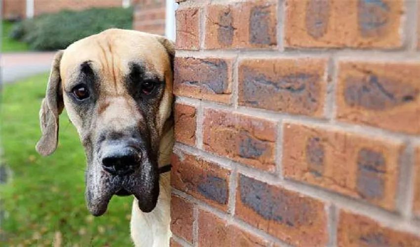 中年男士突然开始积极健身，基本可判定出轨 | 一周法务新趋势（第02周）