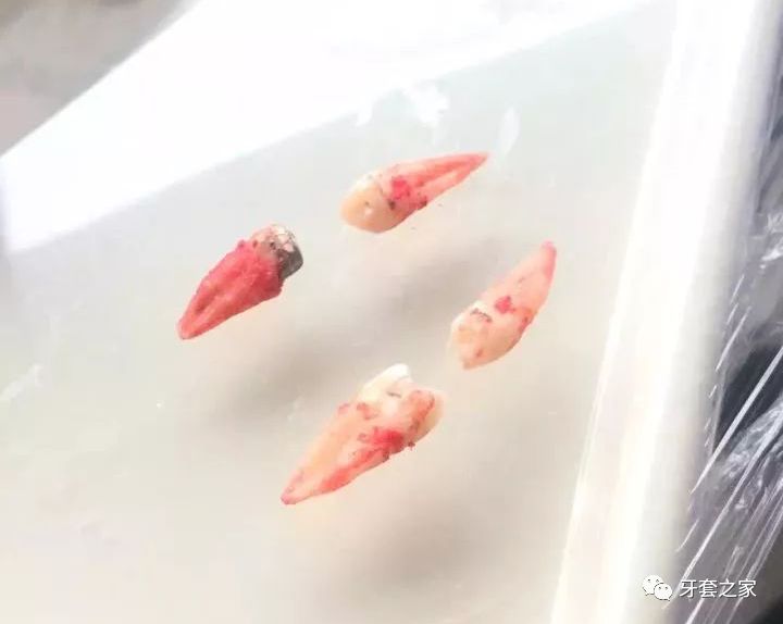 图片秀秀生成证件照过程_美图秀秀怎么弄证件照_秀证件照的心情说说