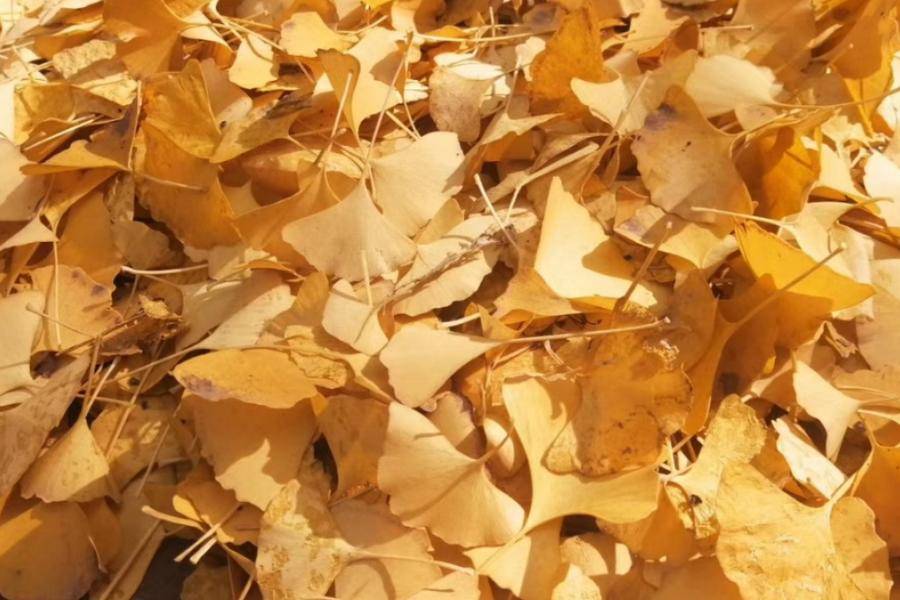 亿欧-科技+产业+投资信息平台和智库