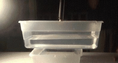 波士顿糖蜜洪灾_非牛顿流体特性_非牛顿流体生活应用