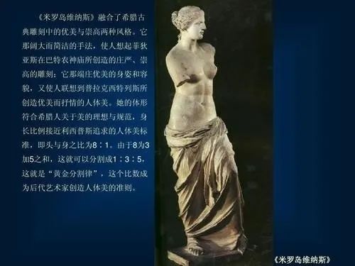 斐波那契数列生活应用_斐波那契数列兔子繁殖问题_自然之美斐波那契数列