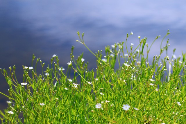 孩子磨蹭怎么办_蔡格尼克效应如何帮助孩子_蔡格尼克效应生活应用