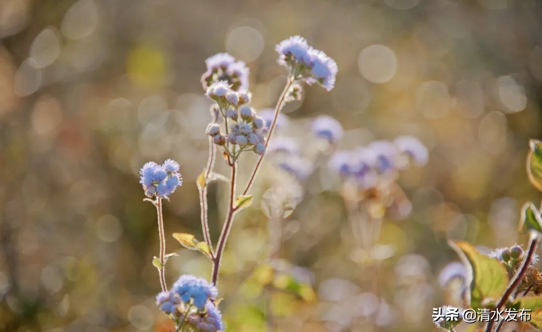 逆向思维解决问题_换个角度看问题_生活逆向思维应用故事