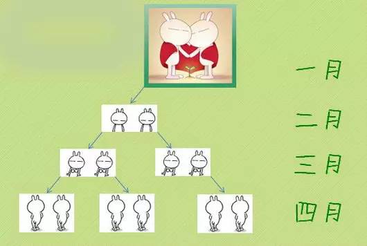斐波那契数列生活应用_斐波那契数列 黄金分割数列 运用斐波那契数列分析股票