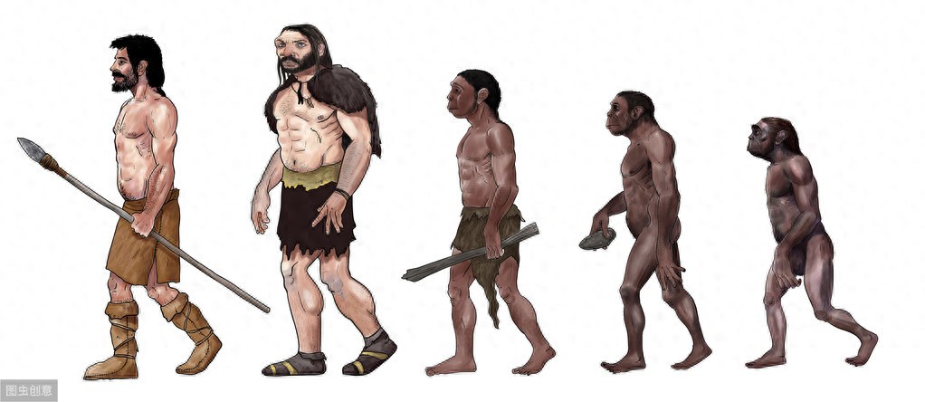 遗传算法编码选择交叉变异_遗传算法应用生活实例_遗传算法原理