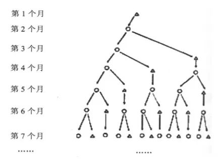 斐波那契数列应用于生活_斐波那契数列生活中有哪些应用_斐波那契数列生活应用