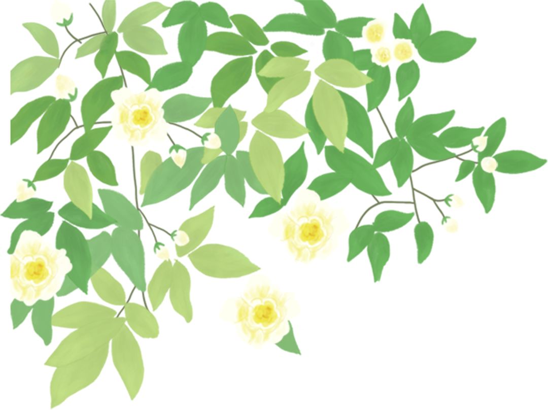 奉城幼儿园各教研组开展专题小结交流展示活动