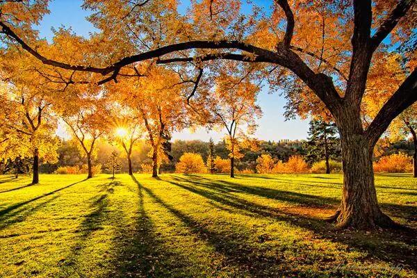 秋殇别恋是什么意思