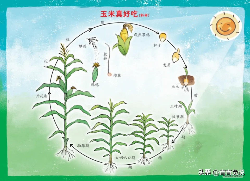 幼小衔接游戏活动_大班民间游戏专题_拼音游戏启蒙