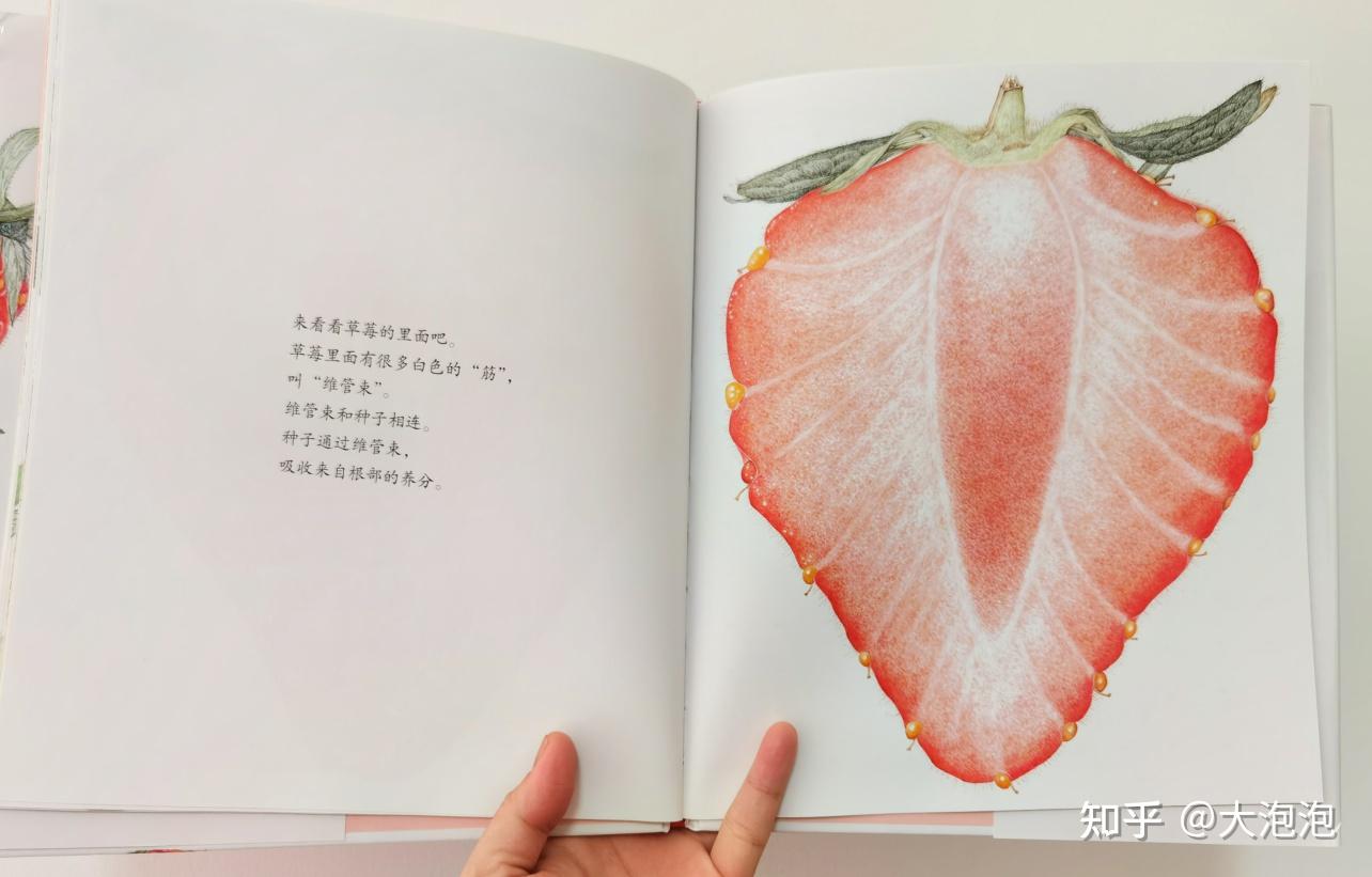 幼儿园游戏专题总结_幼儿园家长进课堂 绘本教学活动设计 家长课堂互动技巧