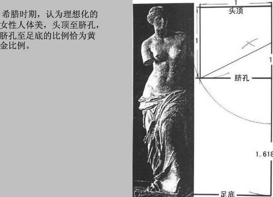 大道至简——浅说斐波那契数列