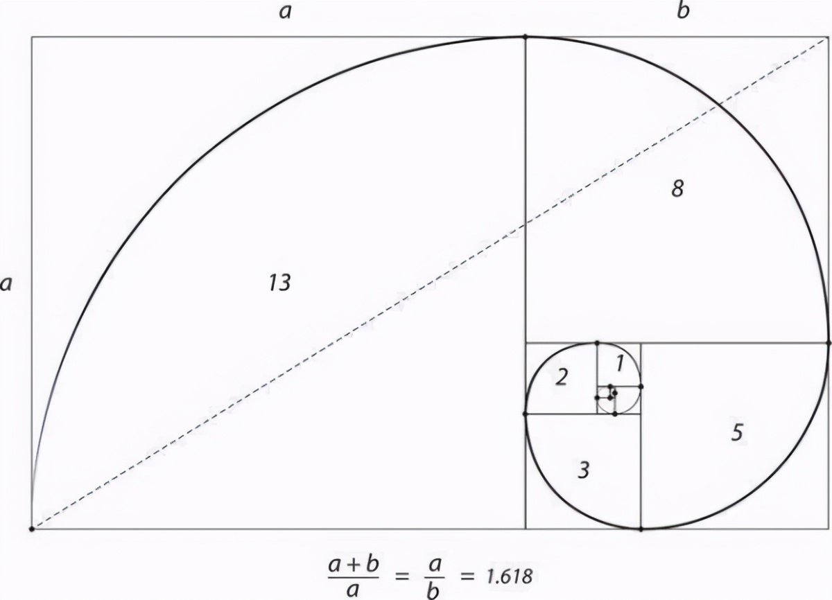斐波那契数列应用于生活_斐波那契数列生活应用_斐波那契数列生活中有哪些应用