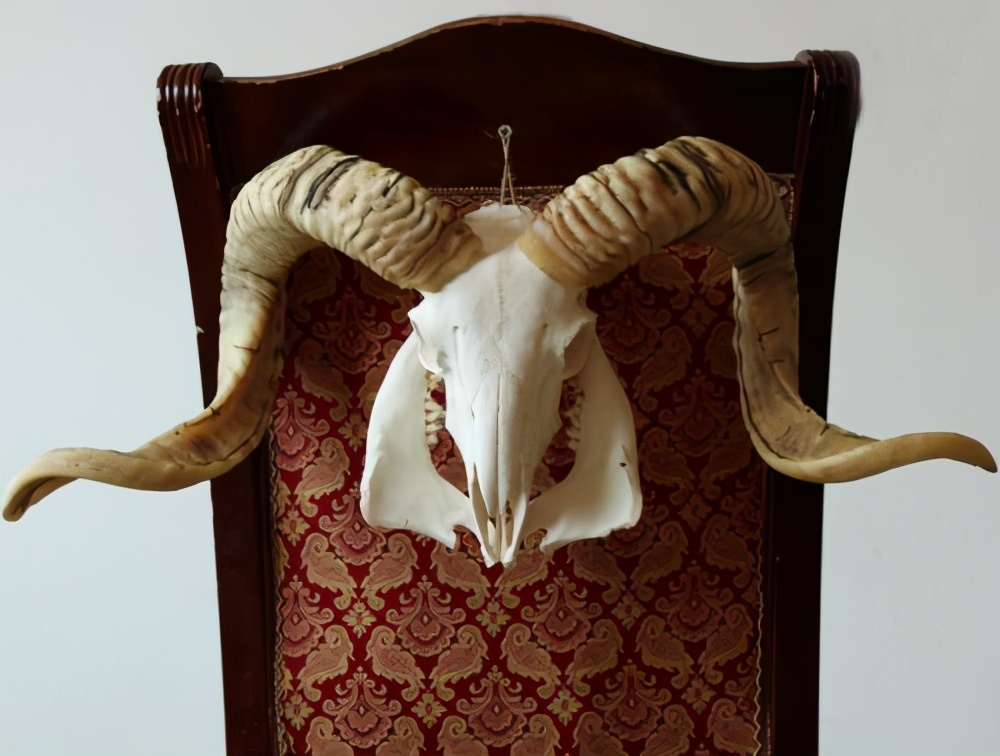 斐波那契数列生活中有哪些应用_斐波那契数列应用于生活_斐波那契数列生活应用