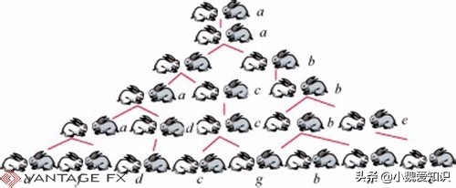 斐波那契数列生活中有哪些应用_斐波那契数列生活应用_斐波那契数列应用于生活