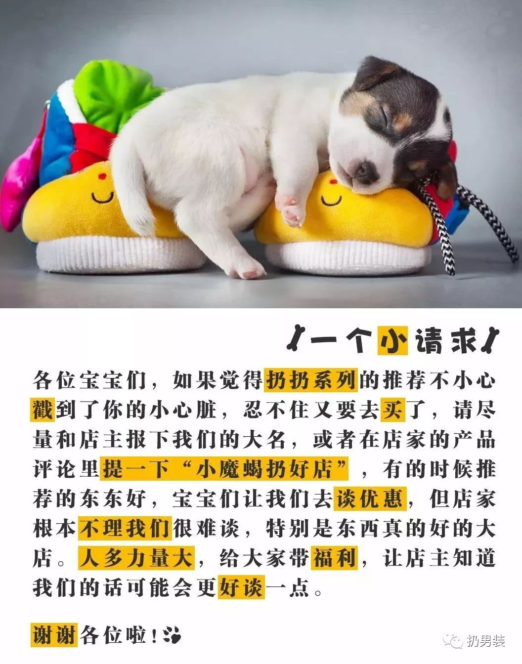 入口即化|鼓浪屿黑凤梨、蔓越莓椰蓉酥、卷心酥、时蔬南瓜脆、咸味手指饼干棒、芝麻薄脆