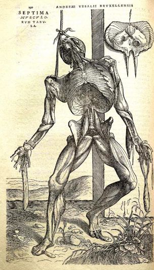 听诊器原理生活应用_连通器原理生活应用_简述心脏听诊顺序及听诊内容