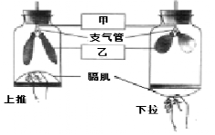 应用应用隐藏器_听诊器原理生活应用_伯努利原理生活应用