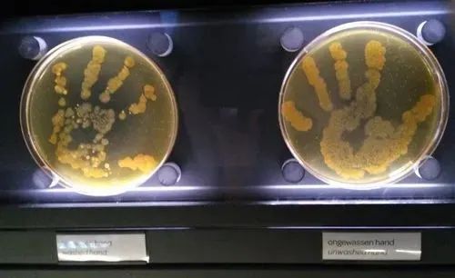 电压跟随器应用电路_听诊器原理生活应用_听诊顺序的原理