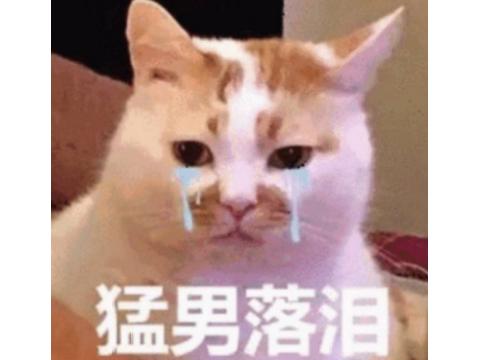 4399小游戏平台发展历程_摩尔庄园游戏影响分析_网页游戏新闻