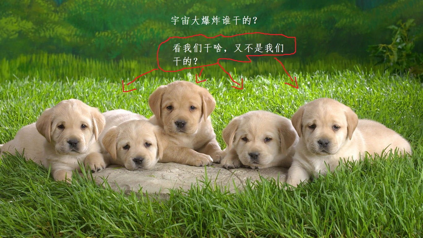 万有引力起源_牛顿力学原理_牛顿第一定律生活应用