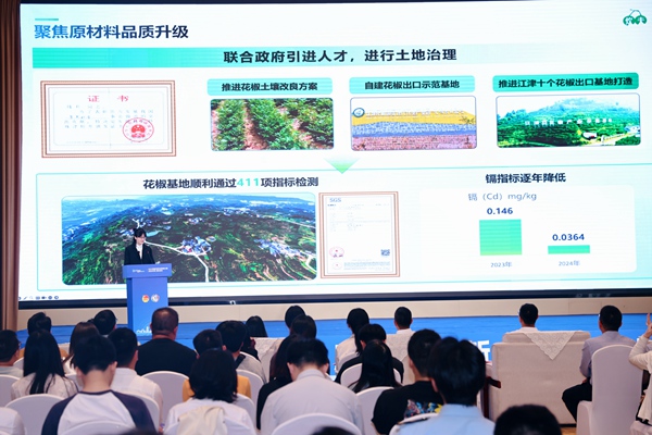 2025年重庆青年创青春大赛（综合专项）决赛举行