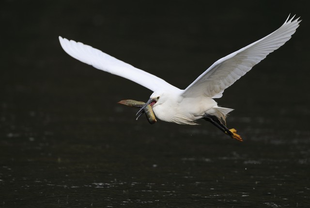 人脉圈2:瞬间拓展圈子的人脉心法_经济实力与人际关系_金钱对个人尊严的影响