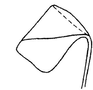 牛顿流体举例子_牛顿流体的原理是什么_非牛顿流体生活应用