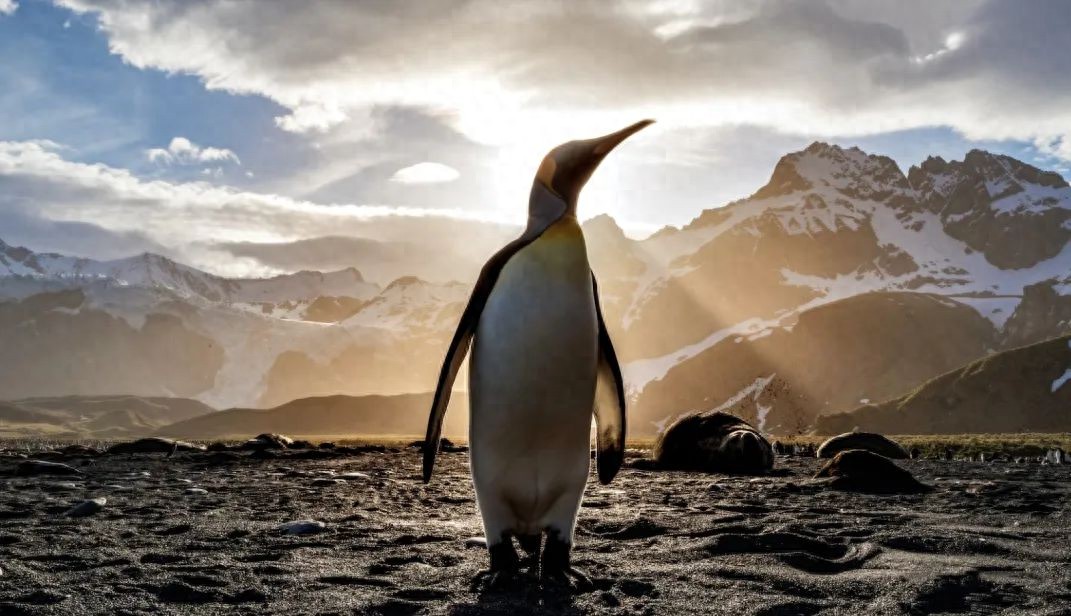 腾讯“接管下载榜”让人震惊，新游戏玩命发行、誓死保卫2025增长