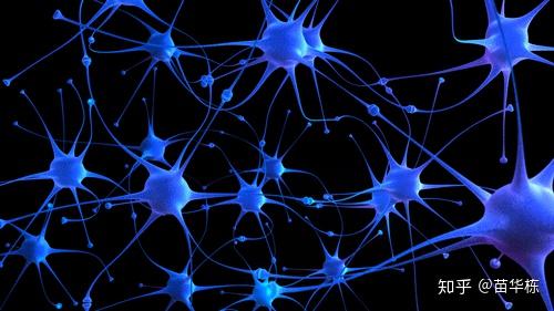 CNN图像识别应用_卷积在生活应用_卷积神经网络原理