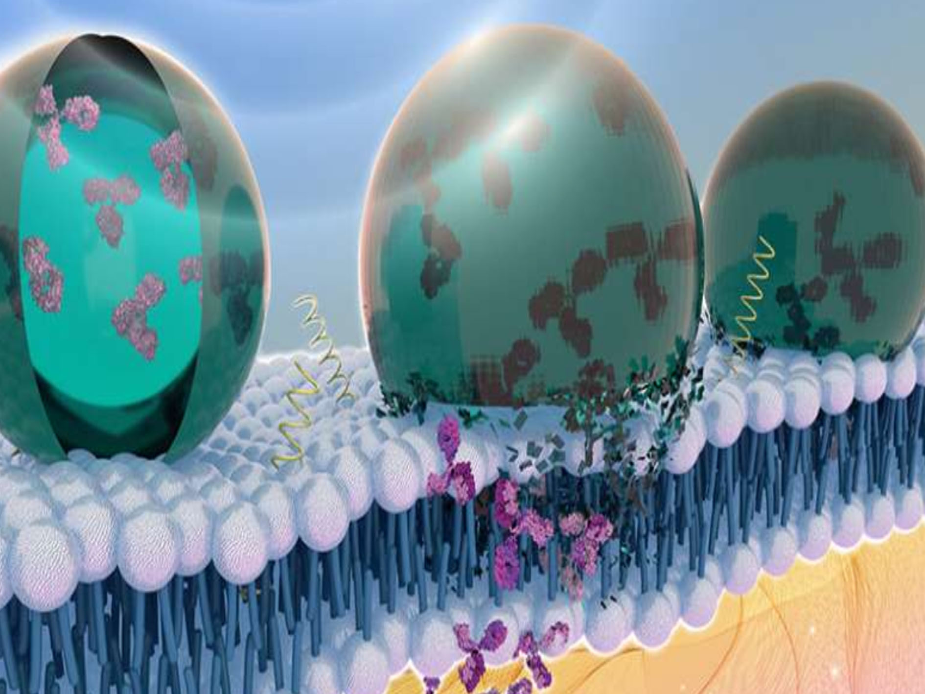 纳米技术在电影制作_纳米技术生活应用_纳米技术在计算机存储