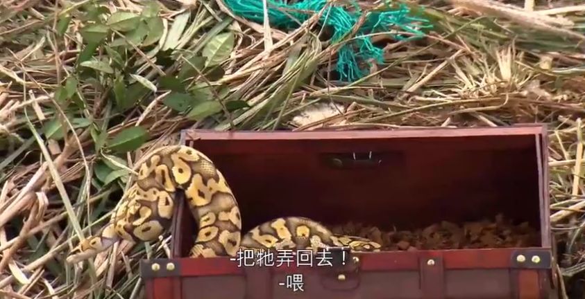 新闻凶杀_杀人游戏 新闻_新闻游戏百科