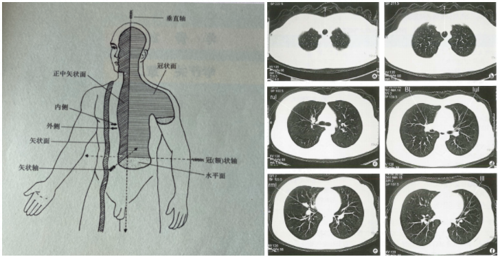 听诊器原理生活应用_镜子反射原理生活应用_应用挂载器原理