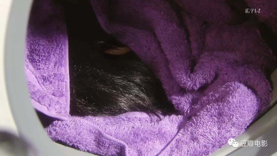 杀人游戏 新闻_新闻游戏百科_新闻凶杀