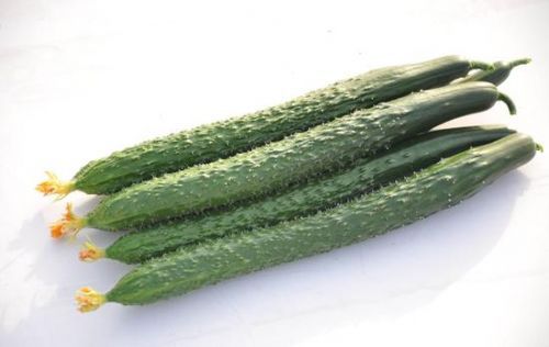 挑选蔬菜技巧_芹菜叶柄的横切面图片_蔬菜新鲜度辨别方法