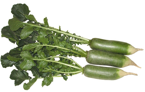 蔬菜新鲜度辨别方法_挑选蔬菜技巧_芹菜叶柄的横切面图片