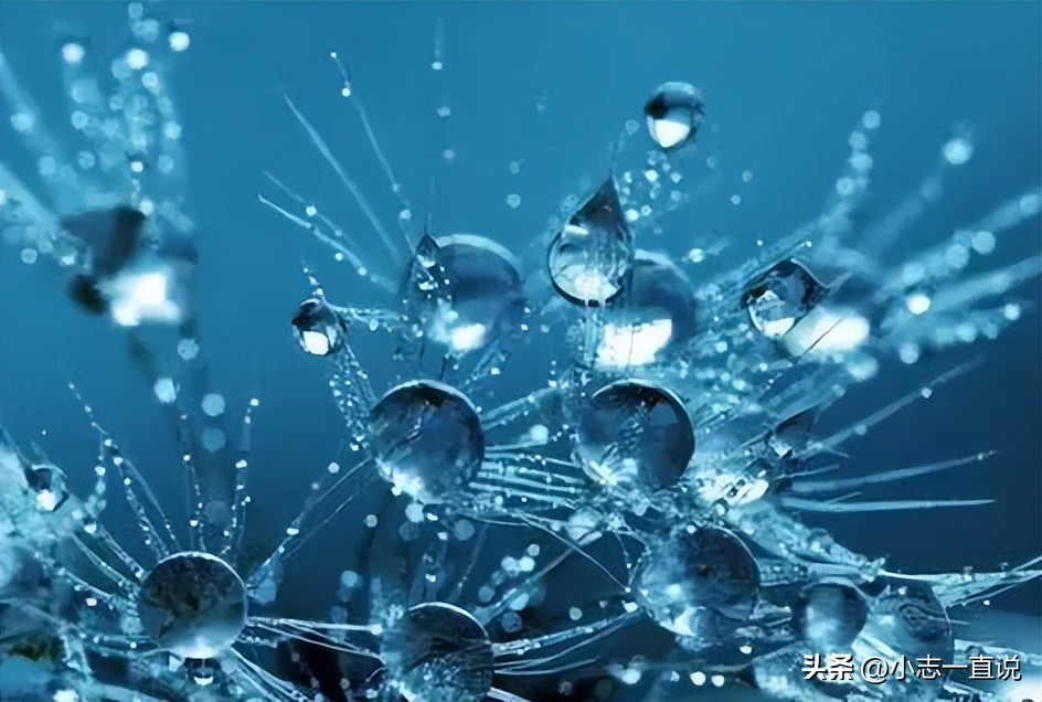 应用纳米技术的生活用品_纳米技术生活应用_纳米技术日常生活应用